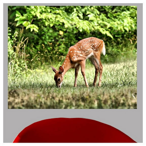 Wallhogs Batie Grazing Fawn Wall Mural