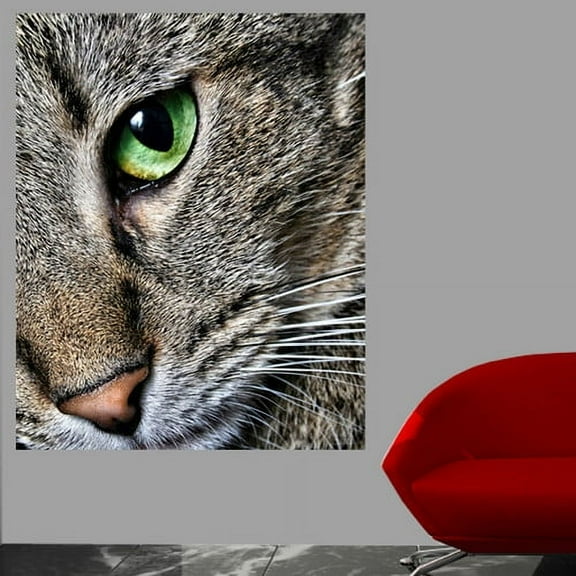 Wallhogs Batie Max Close Up Poster Wall Mural