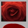 thumbnail image 1 of Wallhogs Batie Rose Wall Mural, 1 of 2