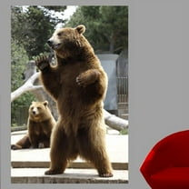 Wallhogs Bear I Glossy Wall Mural