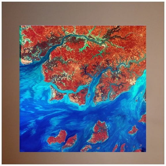 Wallhogs Buell Guinea Wall Mural