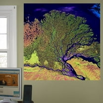 Wallhogs Buell Lena Wall Mural