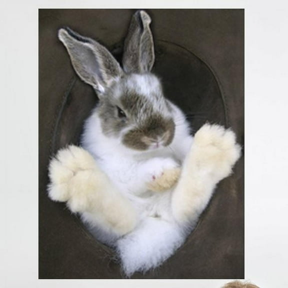 Wallhogs ''Bunny in a Hat'' Glossy Wall Mural