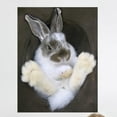 thumbnail image 1 of Wallhogs Bunny in a Hat Wall Mural, 1 of 2