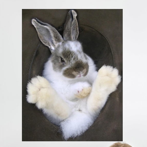 Wallhogs Bunny in a Hat Wall Mural