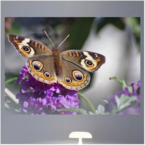 Wallhogs Butterfly II Glossy Wall Mural