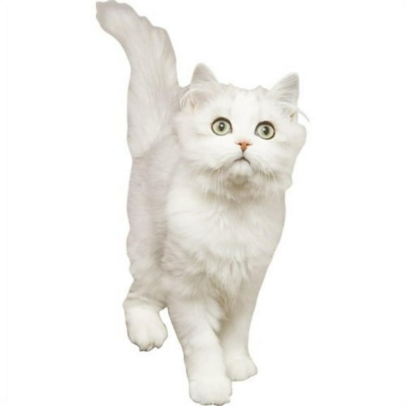 Wallhogs Cat VI Cutout Wall Decal