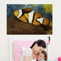 Wallhogs Clown and Anenome Poster Wall Mural