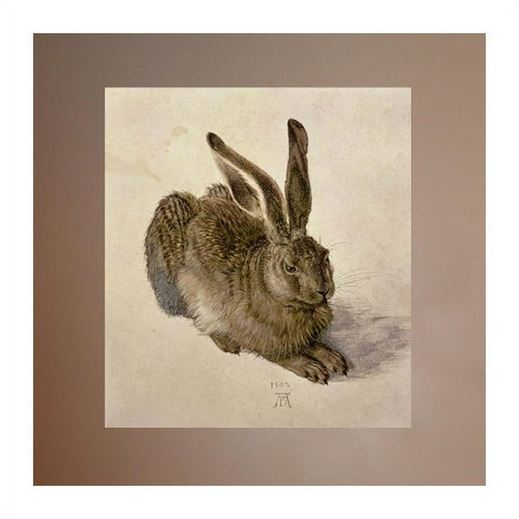 Wallhogs Durer Hare (1502) Poster Wall Mural