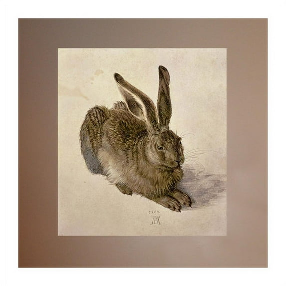 Wallhogs Durer Hare (1502) Poster Wall Mural