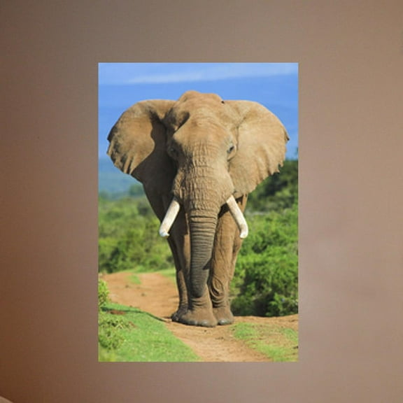 Wallhogs Elephant II Wall Mural