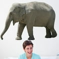 thumbnail image 1 of Wallhogs Elephant IV Cutout Wall Decal, 1 of 2