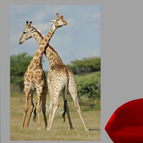 Wallhogs Giraffe I Glossy Wall Mural