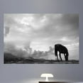 thumbnail image 1 of Wallhogs Grazing Horse Glossy Wall Mural, 1 of 2