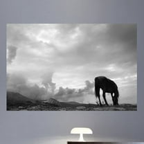 Wallhogs Grazing Horse Glossy Wall Mural