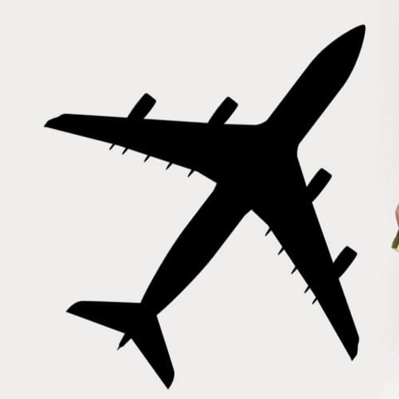 Wallhogs Haynes Silhouette Jet VI Cutout Wall Decal
