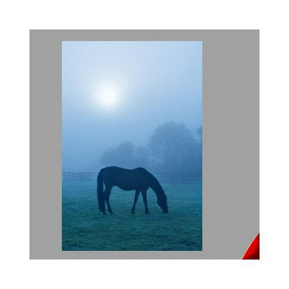 Wallhogs Horse II Glossy Wall Mural