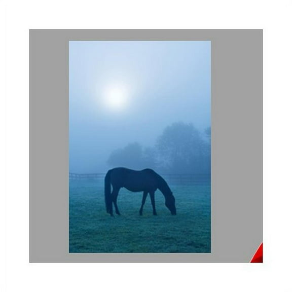 Wallhogs Horse II Wall Decal