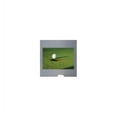 thumbnail image 1 of Wallhogs Lag Putt Glossy Wall Mural, 1 of 2