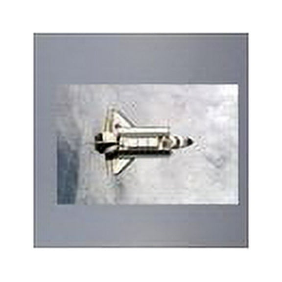 Wallhogs Orbiting Endeavor Glossy Wall Mural