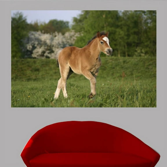 Wallhogs Pony Wall Mural