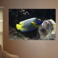 thumbnail image 1 of Wallhogs Reef Angel Glossy Poster, 1 of 2