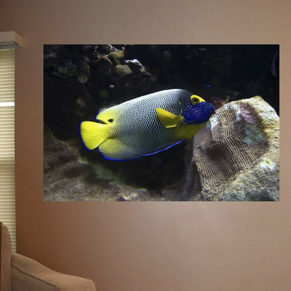 Wallhogs Reef Angel Glossy Poster