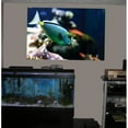 thumbnail image 1 of Wallhogs Reef Tang Glossy  Poster, 1 of 2
