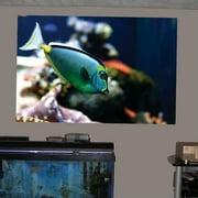 Wallhogs Reef Tang Wall Mural