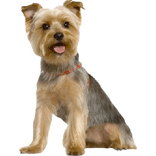Wallhogs Terrier Cutout Wall Decal