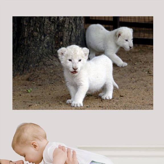 Wallhogs Tiger Cubs Wall Mural