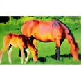 thumbnail image 1 of Wallhogs Tymeless Wonders Mare and Foal I Wall Mural, 1 of 2