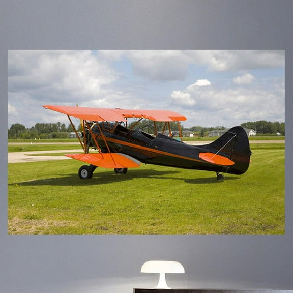 Wallhogs Vintage Biplane III Wall Mural