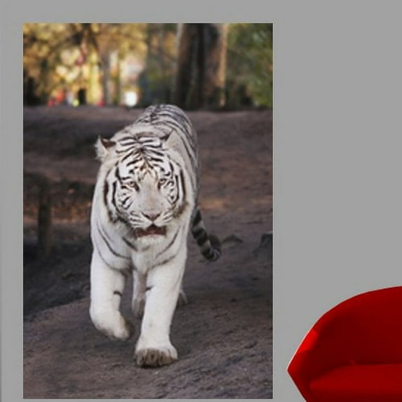 Wallhogs White Tiger Glossy Wall Mural