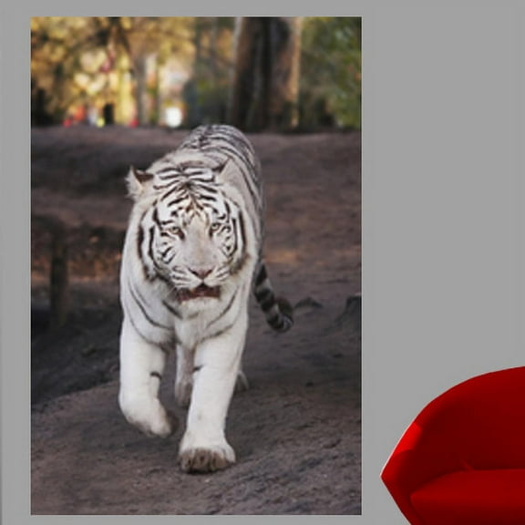 Wallhogs White Tiger Wall Mural