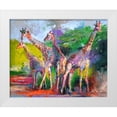thumbnail image 1 of Wallich, Richard 24x20 White Modern Wood Framed Museum Art Print Titled - artgirra, 1 of 4