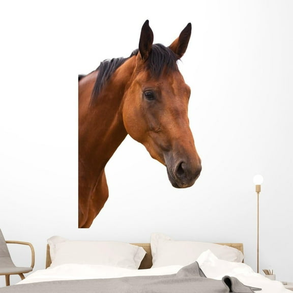 Wallmonkeys FOT-24085079-60 WM194865 Horse Head Isolated Peel and Stick Wall Decals, 60" H x 40" W-Jumbo