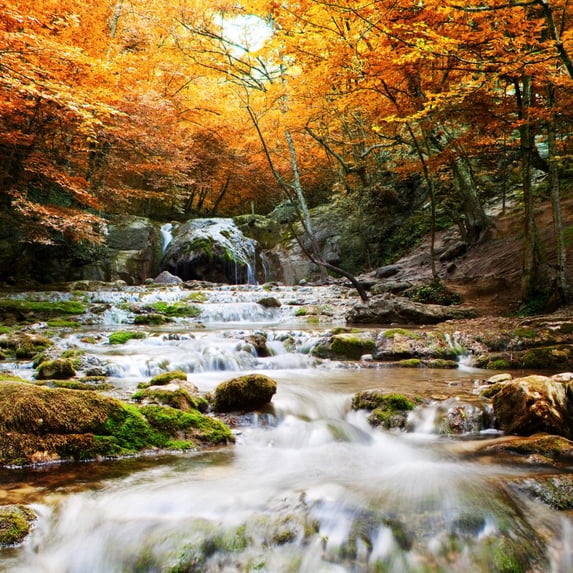 Wallmonkeys Natural Autumn Waterfall Peel and Stick Wall Decals Mural WM42739 (48 in W x 48 in H)