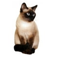 thumbnail image 1 of Wallmonkeys Siamese Cat with Bright Blue Eyes Peel and Stick Wall Decals WM15885 (24 in W x 48 in H), 1 of 4