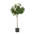Wallowa 4' x 2' Artificial Tabletop Lemon Tree, Green