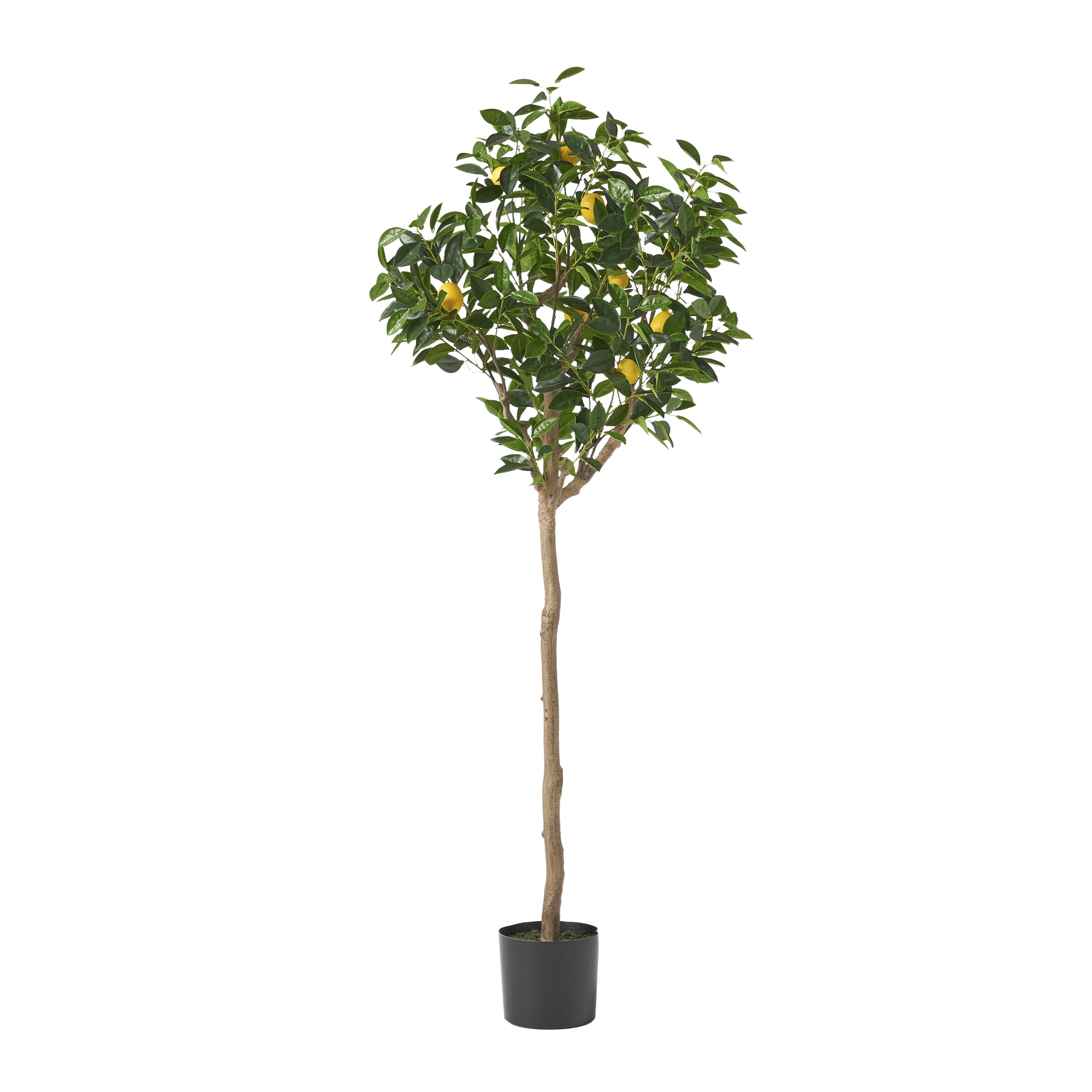 Wallowa 6' x 2.5' Artificial Tabletop Lemon Tree, Green