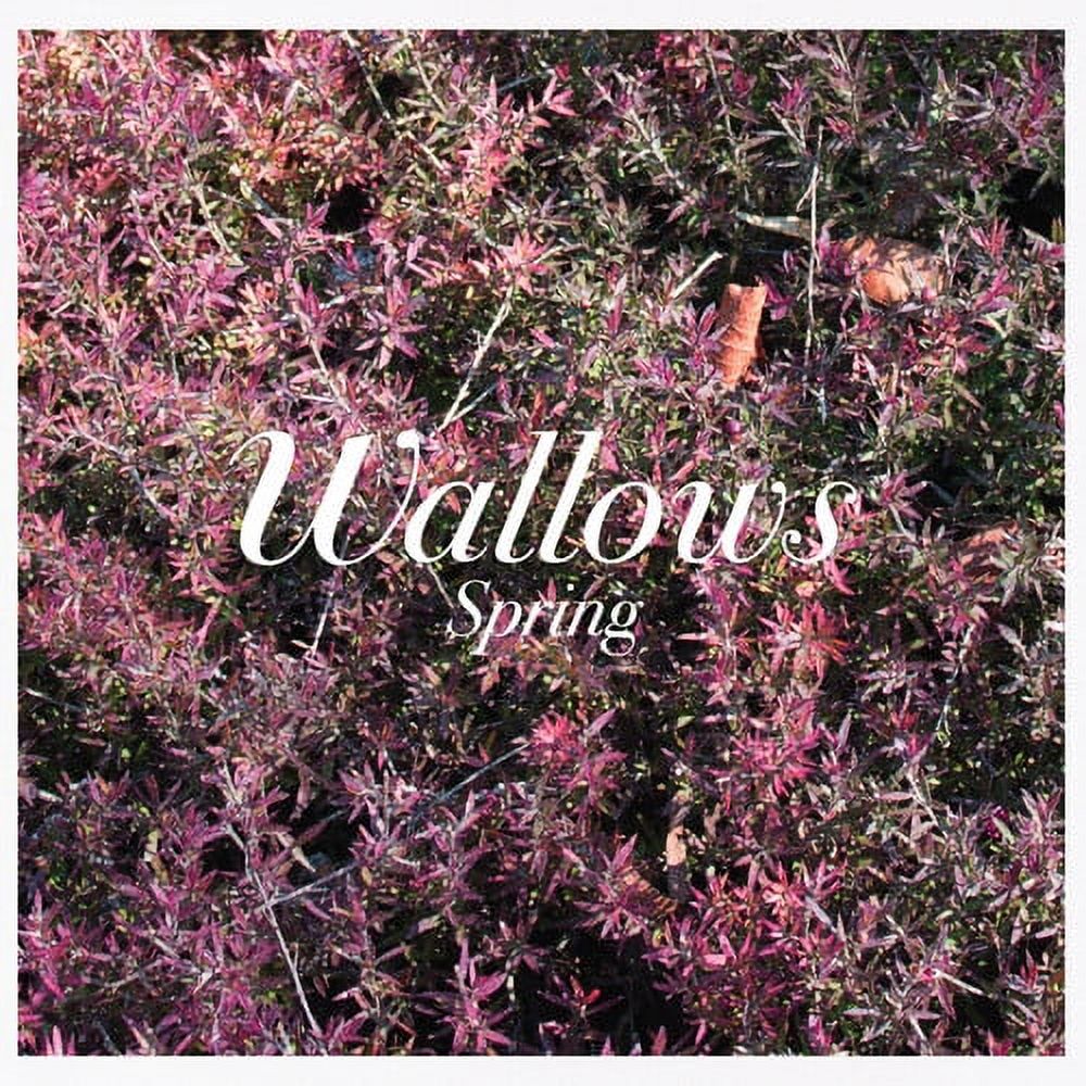 Wallows - Spring - Music & Performance - CD - Walmart.com