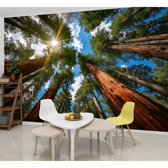Wallpaper Majestic Trees Reaching Sky Sunburst Forest Peel and Stick Wall Murals 69"H x 96"W Removable PVC Wall Paper Self-Adhesive Wall Paintings Art Decor for Bedroom Living Room