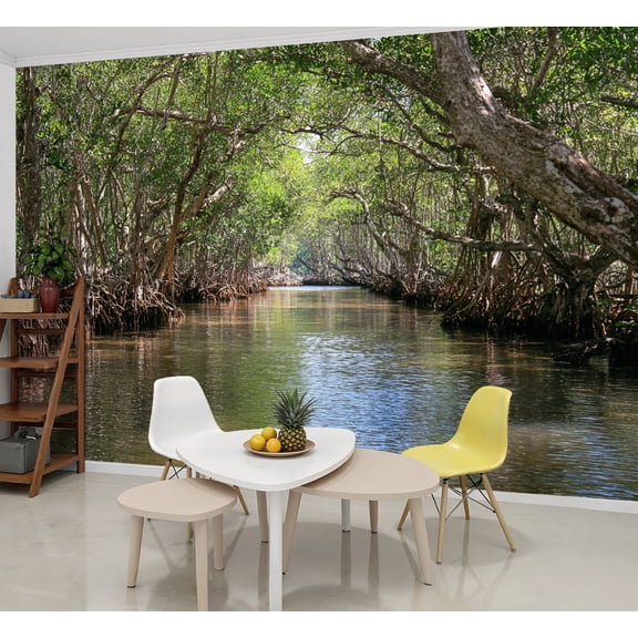 Wallpaper Mangrove swamps around Everglades City South Florida Peel and Stick Wall Murals 69"H x 96"W Removable PVC Wall Paper Self-Adhesive Wall Paintings Art Decor for Bedroom Living Room