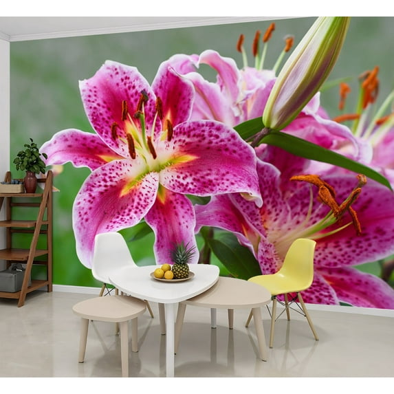 Wallpaper Pink lily garden Lilium orientalis Stargazer Peel and Stick Wall Murals 69"H x 96"W Removable PVC Wall Paper Self-Adhesive Wall Paintings Art Decor for Bedroom Living Room
