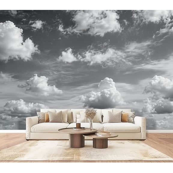 Wallpaper Sky Landscape Nature Blue Cloud Formation Atmospheric Texture Contrast Peel and Stick Wall Murals 100"H x 144"W Removable PVC Wall Paper Self-Adhesive Wall Decor for Bedroom Living Room
