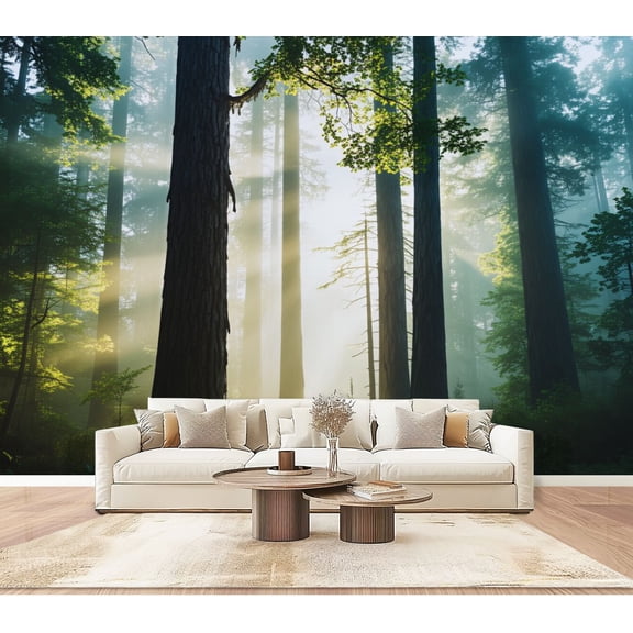 Wallpaper Sunlight Filtering Tall Trees Misty Forest Vintage Peel and Stick Wall Murals 100"H x 144"W Removable PVC Wall Paper Self-Adhesive Wall Paintings Art Decor for Bedroom Living Room