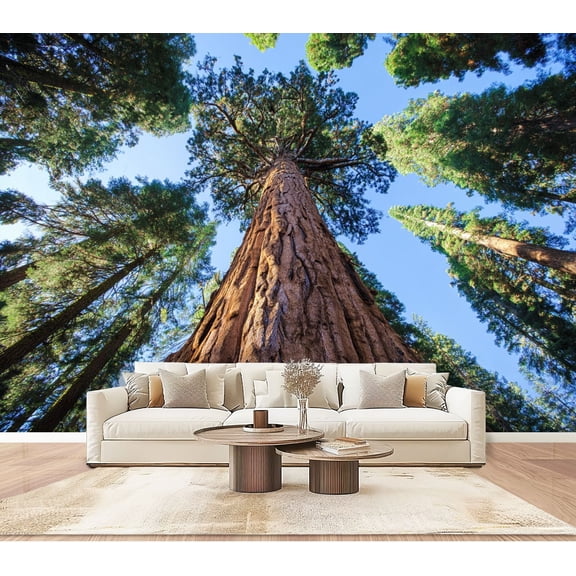 Wallpaper general tree national park large tree Peel and Stick Wall Murals 100"H x 144"W Removable PVC Wall Paper Self-Adhesive Wall Paintings Art Decor for Bedroom Living Room