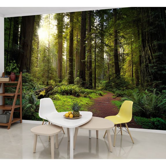Wallpaper redwood trail trees forest sequoiass pictures Peel and Stick Wall Murals 69"H x 96"W Removable PVC Wall Paper Self-Adhesive Wall Paintings Art Decor for Bedroom Living Room