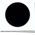 thumbnail image 1 of Walls - Sunporch - Electronica - Vinyl, 1 of 1